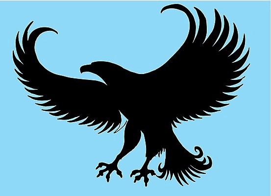 EPS 해외이미지 클립아트 실루엣 길 날개 일러스트 자연 갈매기 조류 오리 병아리 종류 파란색 세트 검은색 자르기 왜가리 플라밍고 문신 깃털 기중기 비둘기 사냥 클립 앵무새 윤곽 독수리 참새 거위 부족 벌새 집게발 황새 해외202004 해외일러스트 동물 컬러 컨셉 모션 촬영기법 중장비 생태계 파일형식 벡터 이미지허브