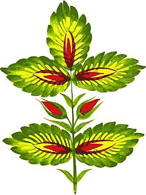 EPS 해외이미지 디자인 꽃 백그라운드 잎 일러스트 수채화 미술 사람없음 초록색 손그림 해외202004 해외일러스트 식물 컬러 문화예술 파일형식 벡터 이미지허브