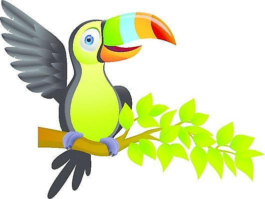 EPS 해외이미지 나무 식물 동물 공원 행복 야생동물 백그라운드 잎 꽃무늬 날개 오렌지 일러스트 자연 조류 미소 노란색 검은색 흰색 나뭇가지 인사 숲 만화 깃털 부리 코믹 브라질 내추럴 아마존 이국적 브라질사람 해외202004 해외일러스트 공공시설 꽃 감정 컬러 무늬 과일 표정 예절 남아메리카 생태계 파일형식 벡터 이미지허브