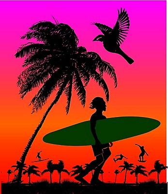 EPS 해외이미지 나무 남자 실루엣 별 스포츠 바다 여행 일러스트 모션 자연 조류 하늘 휴가 휴식 열대 손바닥 미술 풍경 야외 여름 햇빛 태양 일몰 에너지 광선 서핑보드 뜨거움 서핑 시원함 만화 심볼 역동적 펑키 서퍼 이국적 스타일 해외202004 해외일러스트 자연요소 식물 동물 손 계절 컨셉 문화예술 운동선수 촬영기법 사람 노을 수상스포츠 보드_스포츠 생태계 파일형식 벡터 이미지허브