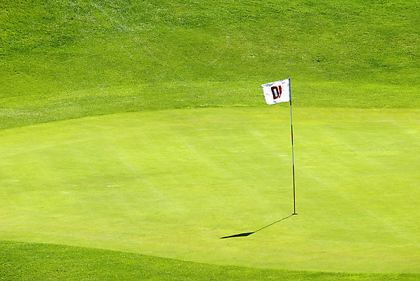 포토 JPG 해외이미지 스포츠 골프 공 자연 놀이 골프공 사람없음 야외 초록색 여름 경쟁 장비 게임 깃발 골퍼 클럽 골프티 해외202004 해외포토 계절 컬러 컨셉 운동선수 골프용품 구기 생태계 파일형식 이미지허브