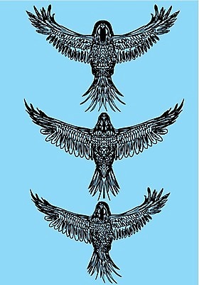 EPS 해외이미지 클립아트 실루엣 길 날개 일러스트 자연 갈매기 조류 오리 병아리 종류 파란색 세트 검은색 자르기 왜가리 플라밍고 문신 깃털 기중기 비둘기 사냥 클립 앵무새 윤곽 독수리 참새 거위 부족 벌새 집게발 황새 해외202004 해외일러스트 동물 컬러 컨셉 모션 촬영기법 중장비 생태계 파일형식 벡터 산업장비 산업 장비 이미지허브
