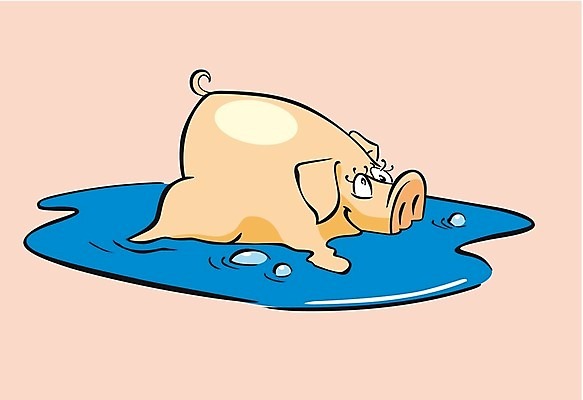 EPS 해외이미지 야생동물 일러스트 포유류 물 반려동물 돼지 만화 웅덩이 해외202004 해외일러스트 자연요소 동물 파일형식 벡터 이미지허브