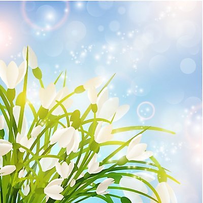 EPS 해외이미지 식물 계절 꽃잎 꽃 줄기 꽃다발 잎 꽃무늬 일러스트 자연 선물 초록색 정원 봄 성장 벚꽃 내추럴 헌병 해외202004 해외일러스트 컬러 무늬 군인 생태계 파일형식 벡터 이미지허브