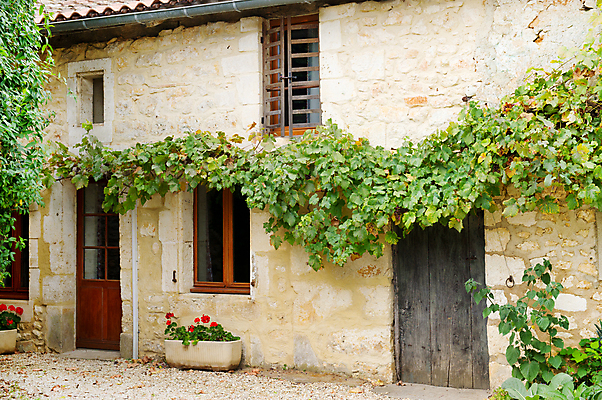 포토 JPG 해외이미지 전통 꽃 건축양식 포도 주택 사람없음 농가 프랑스 닫기 묘사 프랑스어 해외202004 해외포토 식물 문자 건축 유럽 과일 모션 건물 농장 파일형식 이미지허브
