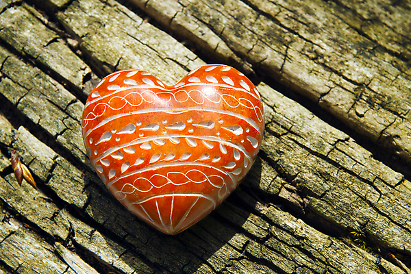 포토 JPG 해외이미지 나무 디자인 결혼 패턴 자연 결혼식 발렌타인데이 선물 사랑 사람없음 목재 빨간색 초록색 우정 하트 생일 메시지 심볼 사인 엽서 나무껍질 수목 어머니의날 해외202004 해외포토 모양 식물 기념일 감정 컬러 무늬 재료 데이이벤트 이벤트 친구 껍질 편지 생태계 미국문화 파일형식 이미지허브