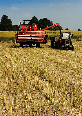 포토 JPG 해외이미지 직업 산업 밭 농업 자연 하늘 풍경 사람없음 야외 가로 빨간색 여름 농작물 컬러풀 농장 기계 수확 성장 가을 농촌 작업 황금 떨어짐 농부 결합 땅 자르기 밀 조경 드럼 밀짚 수유 자동 해외202004 해외포토 계절 컬러 컨셉 모션 타악기 곡류 시골 짚 생태계 파일형식 이미지허브