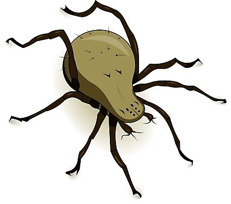 EPS 해외이미지 곤충 일러스트 가정 베개 자연 주택 경고 사람 갈색 머리 카펫 외계인 침대 해충 벌레 지저분함 질병 작음 심볼 사인 거미 먼지 거름 기생충 몬스터 염증 해외202004 해외일러스트 동물 컬러 가구 의학 침구 건물 신체부위 미확인물체 감각 바이러스 크기 생태계 파일형식 벡터 이미지허브