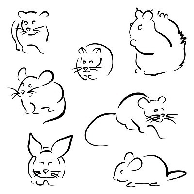 EPS 해외이미지 야생동물 일러스트 세트 검은색 돼지 쥐 설치류 수집 심볼 다람쥐 고립 해외202004 해외일러스트 동물 컬러 포유류 파일형식 벡터 이미지허브