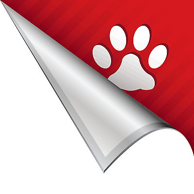 EPS 해외이미지 동물 디자인 야생동물 스티커 인터넷 일러스트 표시 종류 빨간색 반려동물 환경 고양이 웹 줄무늬 껍질 모서리 개 인쇄 심볼 사인 쇼 배지 네비게이션 수의사 휘장 선로 엘리먼트 해외202004 해외일러스트 컬러 무늬 포유류 의사 파일형식 벡터 이미지허브