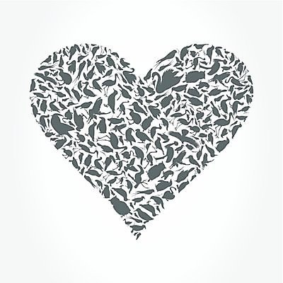 EPS 해외이미지 동물 디자인 패턴 날개 일러스트 자연 조류 추상 오리 사랑 미술 동양인 장식 평화 검은색 하트 만화 왜가리 심볼 깃털 펭귄 비둘기 꼬리 앵무새 백조 참새 부엉이 거위 고무 타조 동물상 소셜네트워크 해외202004 해외일러스트 모양 감정 컬러 컨셉 무늬 문화예술 인종 조형물 생태계 파일형식 벡터 사람 이미지허브