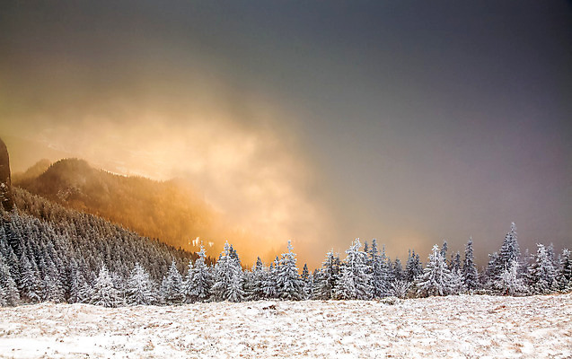 포토 JPG 해외이미지 나무 계절 행복 여행 백그라운드 크리스마스 겨울 자연 하늘 날씨 휴가 새로움 산 기념 요정 국립공원 풍경 사람없음 야외 파란색 빛 태양 얼음 축제 추위 흰색 축하 소나무 눈송이 숲 12월 연도 서리 전나무 루마니아 1월 폭설 눈내림 해외202004 해외포토 자연요소 식물 공원 기념일 감정 유럽 컬러 컨셉 눈_날씨 날짜 자연재해 생태계 파일형식 이미지허브
