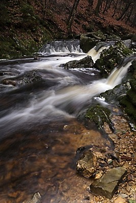포토 JPG 해외이미지 휴가 사람없음 강 산책 폭포 하이킹 개울 숲 벨기에 해외202004 해외포토 자연 레저 휴식 서유럽 파일형식 이미지허브