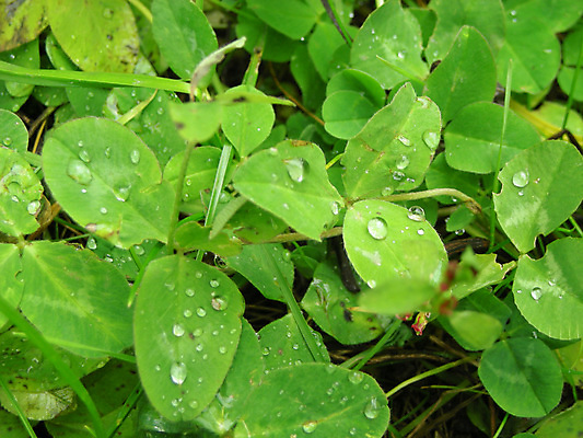 포토 JPG 해외이미지 사람없음 해외202004 해외포토 파일형식 이미지허브