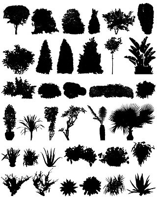 EPS 해외이미지 클립아트 나무 식물 디자인 공원 꽃 실루엣 화분 일러스트 자연 추상 농작물 정원 검은색 도서관 수집 관목 심볼 윤곽 고립 동물상 뒤뜰 해외202004 해외일러스트 공공시설 교육 컬러 무늬 농업 촬영기법 조형물 생태계 파일형식 벡터 이미지허브