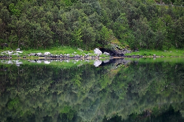 포토 JPG 해외이미지 나무 섬 자연 노르웨이 풍경 사람없음 야외 목재 물 여름 반사 침묵 거울 바위 원형 숲 북극 소금 장면 북쪽 내추럴 북극해 해외202004 해외포토 자연요소 도형 식물 계절 유럽 바다 재료 소리 돌_바위 극지방 방향 생태계 파일형식 이미지허브
