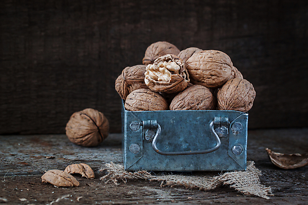 포토 JPG 해외이미지 음식 백그라운드 과일 자연 건조 사람없음 목재 상자 갈색 노란색 쌓기 견과류 껍질 가을 흰색 오브젝트 알맹이 날것 호두 내추럴 특별함 해외202004 해외포토 나무 계절 컬러 컨셉 재료 모션 생태계 파일형식 이미지허브