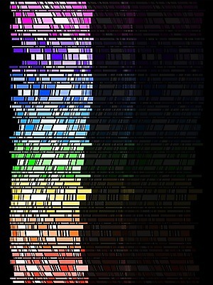 EPS 해외이미지 포스터 선 백그라운드 일러스트 모션 벽지 추상 미술 경사 그래픽 컬러풀 줄무늬 덮개 투명 타일 덮기 그라데이션 구성 스펙트럼 줄서기 타격 스타일 효과 해외202004 해외일러스트 컬러 무늬 문화예술 뚜껑 파일형식 벡터 이미지허브