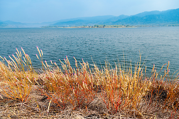 포토 JPG 해외이미지 나무 식물 구름 계절 공원 꽃 호수 야생동물 여행 백그라운드 잎 꽃무늬 자연 하늘 산 풍경 사람없음 야외 초록색 물 여름 강 환경 계곡 봄 하이킹 나뭇가지 숲 댐 땅 알프스 내추럴 해외202004 해외포토 자연요소 동물 공공시설 유럽 컬러 무늬 레저 생태계 파일형식 이미지허브