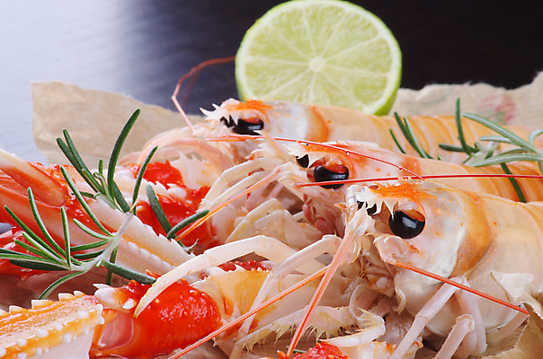 포토 JPG 해외이미지 전신 음식 분홍색 오렌지 새우 갑각류 사람없음 빨간색 초록색 갈색 노란색 검은색 흰색 신선 그릴 가재 바닷가재 해산물 라임 로즈메리 건강식 집게발 해외202004 해외포토 동물 컬러 과일 주방용품 허브 파일형식 이미지허브