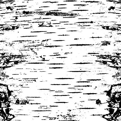 EPS 해외이미지 나무 식물 선 줄기 백그라운드 패턴 일러스트 자연 벽지 표면 추상 야외 목재 갈색 쌓기 줄무늬 껍질 흰색 소나무 거친 균열 숲 묘사 질감 나무껍질 자작나무 잡동사니 내추럴 생태학 수목 옛날 해외202004 해외일러스트 교육 컬러 무늬 재료 모션 생태계 파일형식 벡터 이미지허브