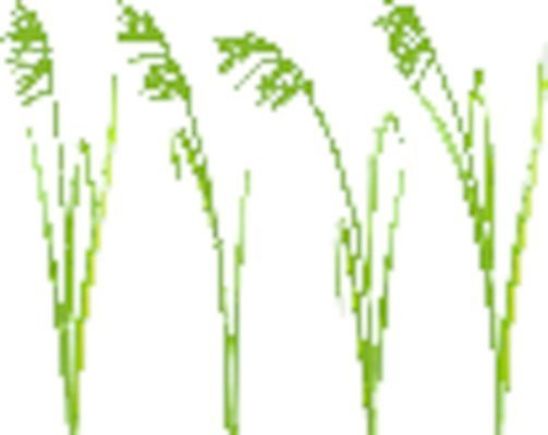 EPS 해외이미지 식물 배너 계절 공원 백그라운드 컨셉 잎 꽃무늬 패턴 밭 일러스트 자연 추상 잔디 가로 초록색 여름 환경 정원 봄 활발 성장 흰색 신선 칼날 보호 땅 원예 질감 내추럴 고립 생태학 해외202004 해외일러스트 공공시설 교육 꽃 컬러 무늬 농업 취미 생태계 파일형식 벡터 이미지허브