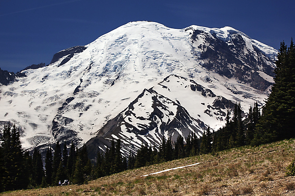 포토 JPG 해외이미지 여행 백그라운드 자연 하늘 산 국립공원 풍경 사람없음 여름 파란색 소풍 평화 일출 미국 침묵 폭포 하이킹 정상 화산 워싱턴 전국 절정 해외202004 해외포토 계절 공원 컬러 컨셉 북아메리카 레저 야외활동 노을 소리 생태계 파일형식 이미지허브