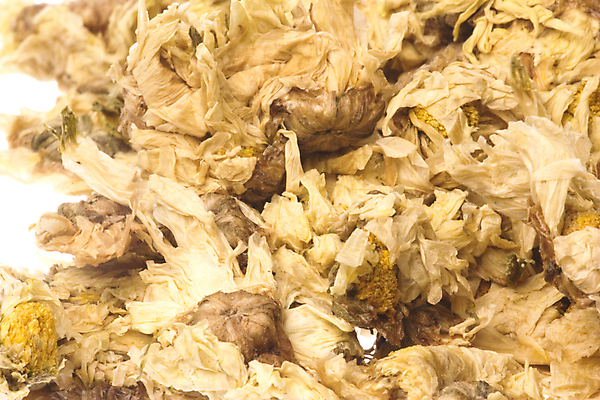 포토 JPG 해외이미지 전통 꽃 음료 건조 국화 사람없음 닫기 맛 아침식사 허브 상쾌 고립 투입 해외202004 해외포토 식물 감정 컨셉 모션 식사 파일형식 이미지허브