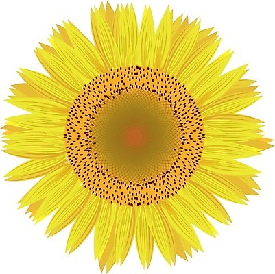 EPS 해외이미지 식물 꽃잎 꽃 행복 잎 꽃무늬 패턴 오렌지 일러스트 자연 해바라기 씨앗 컬러풀 노란색 정원 봄 벚꽃 흰색 원형 개화 닫기 꽃집 유기농 원예 질감 꽃가루 내추럴 고립 현실 해외202004 해외일러스트 도형 웰빙 계절 감정 컬러 무늬 과일 모션 취미 상점 가루 생태계 파일형식 벡터 이미지허브