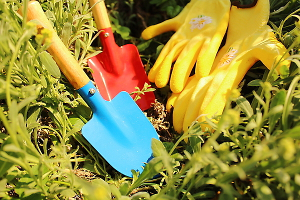 포토 JPG 해외이미지 식물 꽃 장갑 봄꽃 자연 사람없음 정원 봄 4월 5월 삽 원예 내추럴 해외202004 해외포토 잡화 계절 취미 날짜 생태계 파일형식 이미지허브