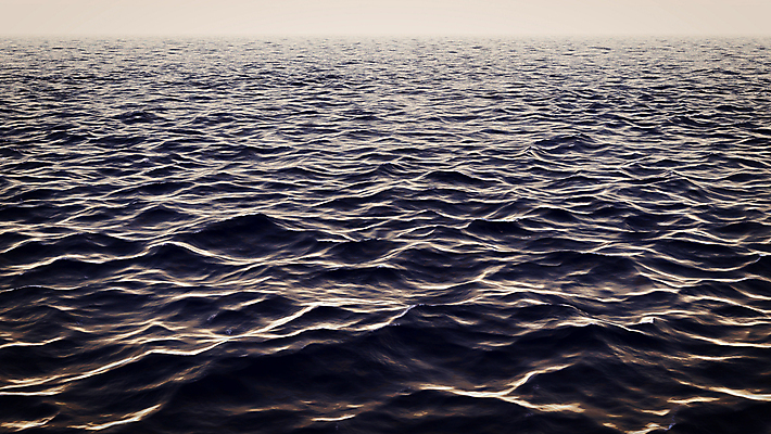 포토 JPG 해외이미지 동물 야생동물 파도 바다 여행 백그라운드 일러스트 자연 하늘 표면 어류 사람없음 물 파란색 3D 바닷속 수중 수영 어둠 회색 가을 흰색 오픈 치아 큼 아래 제비꽃 고래 다이빙 태평양 상어 암초 폭풍 멸종 거인 깊이 해외202004 해외포토 자연요소 계절 꽃 컬러 포유류 날씨 수중동물 수상스포츠 소화기관 크기 방향 디지털합성 생태계 위치 수중스포츠 파일형식 이미지허브