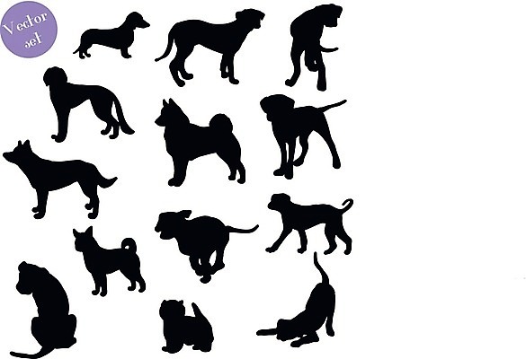 EPS 해외이미지 클립아트 모양 동물 디자인 실루엣 포즈 백그라운드 컨셉 일러스트 자연 미술 앉기 그래픽 반려동물 세트 검은색 개 리트리버 강아지 위험 자르기 닥스훈트 테리어 래브라도리트리버 수집 사인 그림 사냥 윤곽 불독 고립 달마시안 엘리먼트 유래 충고 해외202004 해외일러스트 컬러 포유류 모션 문화예술 촬영기법 생태계 파일형식 벡터 이미지허브