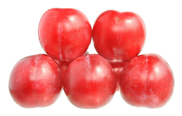 포토 JPG 해외이미지 음식 과일 건강 사람없음 빨간색 보라색 그룹 달콤 유기농 자두 고립 숙성 해외202004 해외포토 웰빙 컬러 맛 파일형식 이미지허브