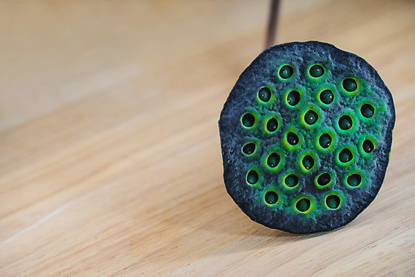 포토 JPG 해외이미지 식물 꽃 아시아 백그라운드 잎 2 꽃무늬 과일 자연 콩 건조 씨앗 동양인 사람없음 초록색 컬러풀 환경 중국 벚꽃 흰색 신선 원형 개화 닫기 묘사 동쪽 내추럴 고립 꼬투리 식용 이국적 해외202004 해외포토 도형 나라 컬러 무늬 모션 곡류 인종 방향 생태계 파일형식 이미지허브