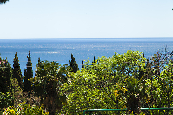 포토 JPG 해외이미지 나무 식물 공원 꽃 바다 여행 건축양식 자연 하늘 휴가 휴식 열대 산 손바닥 풍경 잔디 사람없음 야외 초록색 물 여름 파란색 교회 여행객 정원 검은색 흰색 스페인 휴양지 정사각형 지역 남쪽 내추럴 로스앤젤레스 안달루시아 이국적 해외202004 해외포토 자연요소 도형 손 계절 공공시설 건축 유럽 컬러 컨셉 종교건축 사람 건물 미국 장소 방향 생태계 파일형식 이미지허브