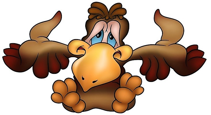 EPS 해외이미지 클립아트 동물 캐릭터 날개 일러스트 조류 앉기 반려동물 컬러풀 갈색 만화 자르기 고민 그림 부리 앵무새 코믹 손그림 고립 이국적 잉꼬 해외202004 해외일러스트 일러캐릭터 감정 컬러 모션 파일형식 벡터 이미지허브