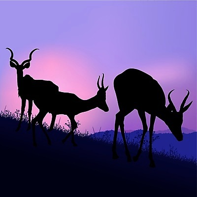 EPS 해외이미지 동물 실루엣 야생동물 백그라운드 일러스트 포유류 아프리카 자연 산 뿔 풍경 일출 황무지 방목 사파리 영양 가젤 해외202004 해외일러스트 나라 촬영기법 노을 축산업 생태계 파일형식 벡터 이미지허브