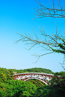 포토 JPG 해외이미지 식물 지구 바다 섬 여행 백그라운드 컨셉 건축양식 자연 하늘 추상 휴가 한국 사람없음 야외 초록색 파란색 환경 금속 탐험 심볼 아치 웅장함 특별함 그리너리 전경 해외202004 해외포토 건축 아시아 컬러 무늬 재질 풍경 생태계 파일형식 탑뷰 트랜드컬러 이미지허브