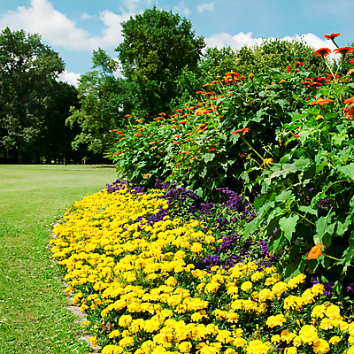 포토 JPG 해외이미지 식물 구름 계절 공원 꽃 잎 꽃무늬 밭 자연 하늘 풍경 잔디 사람없음 야외 장식 초록색 여름 컬러풀 노란색 머리 정원 봄 성장 벚꽃 침대 개화 원예 조경 화단 장면 천국 내추럴 정중 해외202004 해외포토 자연요소 공공시설 컬러 가구 컨셉 무늬 농업 취미 신체부위 생태계 파일형식 이미지허브