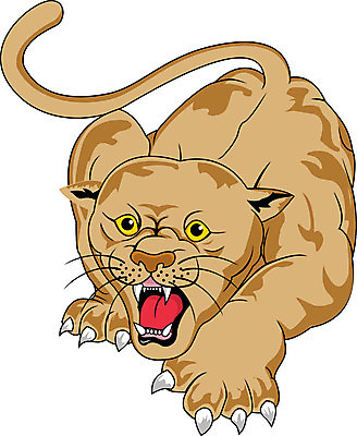 EPS 해외이미지 클립아트 동물 디자인 응시 얼굴 야생동물 스포츠 일러스트 포유류 학교 자연 고등학교 동물원 미술 그래픽 머리 고양이 산책 그리기 호랑이 만화 사파리 그림 클립 육식동물 표범 고립 마스코트 암사자 재규어 집게발 해외202004 해외일러스트 시선 교육 모션 문화예술 휴식 신체부위 반려동물 사자 암컷 생태계 파일형식 벡터 이미지허브