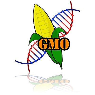 EPS 해외이미지 식물 템플릿 디자인 음식 과학 컨셉 농업 일러스트 자연 생물 아이디어 경고 옥수수 그래픽 농작물 스터디 고통 수확 변화 질병 DNA 위험 만화 심볼 사인 그림 생물학 발견 개선 유전자변형 해외202004 해외일러스트 교육 감정 산업 의학 곡류 학습 생명공학 생태계 파일형식 벡터 이미지허브