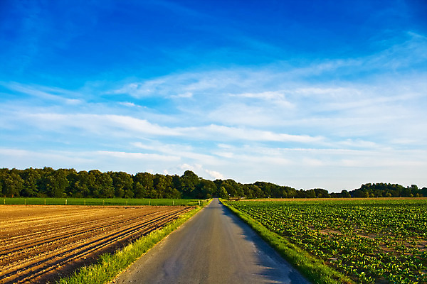포토 JPG 해외이미지 구름 도로 길 스포츠 백그라운드 밭 농업 하늘 휴식 건강 풍경 사람없음 야외 가로 초록색 여름 파란색 농장 환경 맑음 회색 흰색 시골 그림 에코 생태계 방법 밭일 생태학 카피스페이스 해외202004 해외포토 자연요소 계절 교육 산업 컬러 컨셉 교통시설 날씨 공백 파일형식 이미지허브