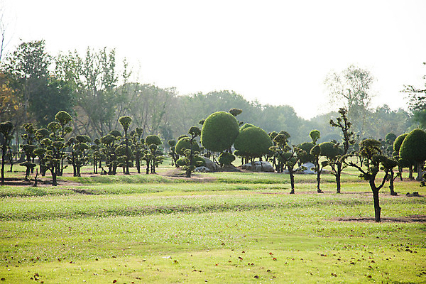 포토 JPG 해외이미지 나무 식물 라이프스타일 공원 꽃 길 백그라운드 잎 밭 자연 하늘 풍경 잔디 사람없음 초록색 여름 운동 햇빛 평화 환경 정원 맑음 봄 숲 암초 리빙 내추럴 해외202004 해외포토 계절 공공시설 컬러 컨셉 농업 날씨 건강 생활 태양 생태계 파일형식 이미지허브