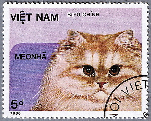 포토 JPG 해외이미지 동물 통신 포유류 봉투 주택 취미 사람없음 반려동물 머리 고양이 수확 신용카드 편지 수집 엽서 베트남 패키지 우표 고립 편지쓰기 해외202004 해외포토 농업 건물 신체부위 금융 동남아시아 기록 파일형식 이미지허브