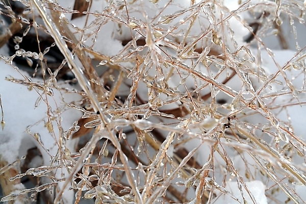 포토 JPG 해외이미지 겨울 날씨 사람없음 냉동 얼음 추위 해외202004 해외포토 자연요소 계절 파일형식 이미지허브