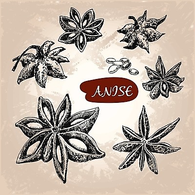 EPS 해외이미지 식물 디자인 음식 백그라운드 크리스마스 농업 과일 일러스트 재료 부분 미술 장식 가로 농작물 약 갈색 중국 그룹 클래식 허브 라인아트 그림 유기농 날것 클립 윤곽 아로마 손그림 나무껍질 향 고립 엘리먼트 옛날 해외202004 해외일러스트 나무 웰빙 기념일 산업 아시아 선 컬러 컨셉 의학 문화예술 껍질 파일형식 벡터 이미지허브