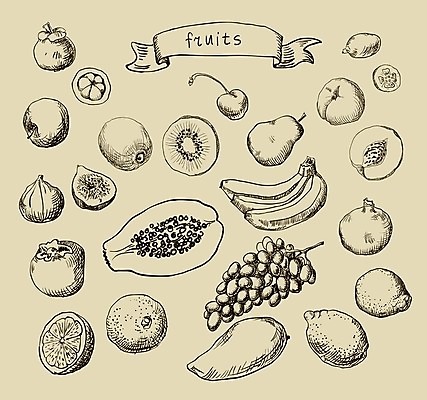 EPS 해외이미지 음식 백그라운드 오렌지 일러스트 포도 바나나 키위 그래픽 장식 세트 상점 정원 수확 신선 체리 낙서 사과 스케치 수집 레몬 그림 유기농 복고 복숭아 손그림 자두 한조각 무화과 내추럴 바이오 살구 스크랩북 천도복숭아 파파야 해외202004 해외일러스트 1 웰빙 농업 과일 미술 열대과일 파일형식 벡터 이미지허브