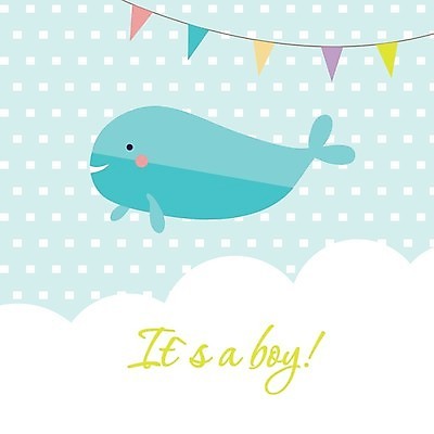 EPS 해외이미지 한마리 동물캐릭터 하늘색 일러스트 사람없음 귀여움 고래 가랜드 해외202004 해외일러스트 일러캐릭터 동물 캐릭터 1 컨셉 포유류 파란색 수중동물 파티용품 파일형식 벡터 이미지허브