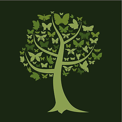 EPS 해외이미지 나무 식물 디자인 나비 곤충 단풍 잎 꽃무늬 일러스트 자연 뿔 미술 풍경 목재 여름 환경 봄 가을 만화 꼬리 자작나무 재 해외202004 해외일러스트 동물 계절 꽃 무늬 재료 문화예술 생태계 파일형식 벡터 이미지허브