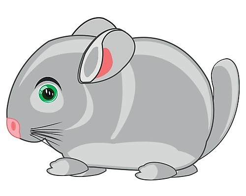 EPS 해외이미지 동물 일러스트 포유류 자연 털 반려동물 아기 작음 만화 심볼 오브젝트 흰배경 코믹 해외202004 해외일러스트 백그라운드 사람 흰색 크기 생태계 파일형식 벡터 이미지허브